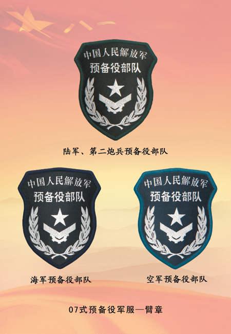 07式预备役军服服饰符号
